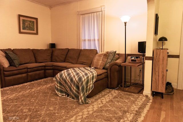 1770 Millersburg-Cynthiana Rd, Paris, KY 40361 - living room featuring wood finished floors and crown molding