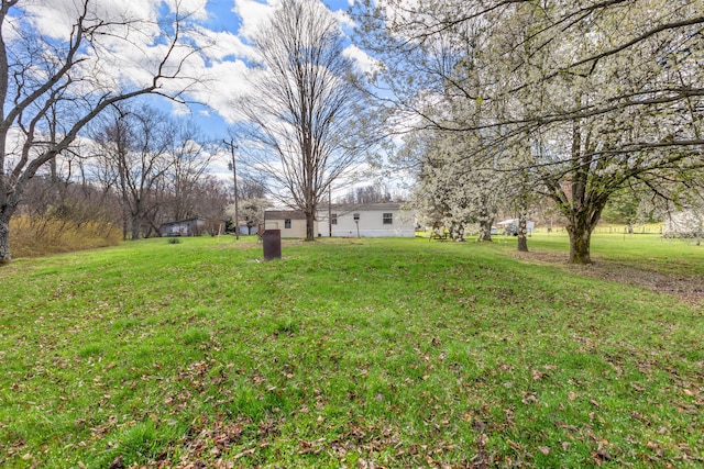 12739 Stulltown Rd, Hope, KY 40334 - view of yard