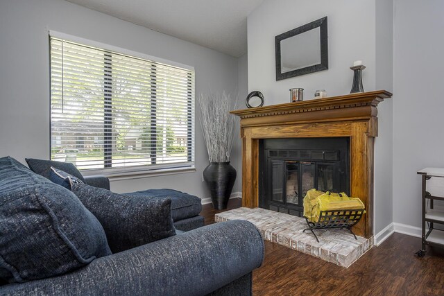 living room with baseboards, wood finished floors, and a glass covered fireplace