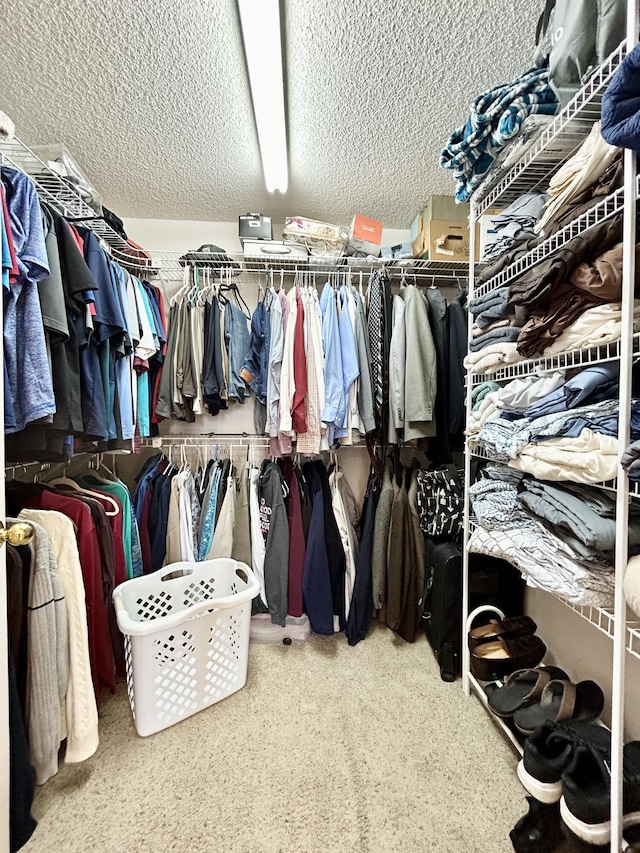 walk in closet featuring carpet flooring
