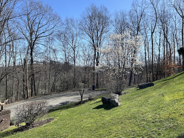 view of yard featuring a view of trees