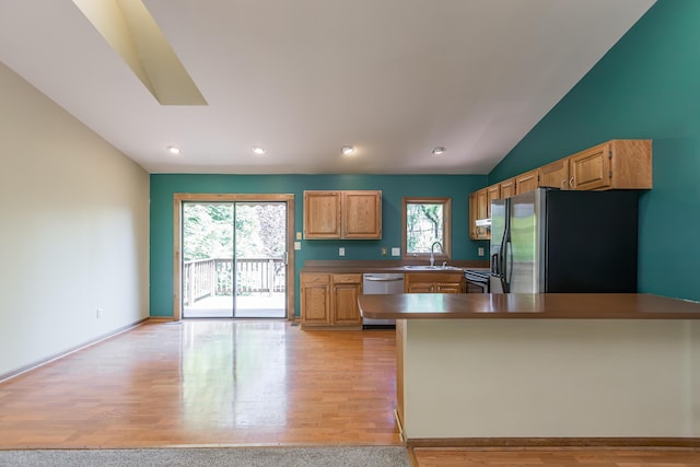 420 Stonehedge Pl, Lexington, KY 40517 - kitchen with plenty of natural light, a sink, vaulted ceiling, and stainless steel appliances