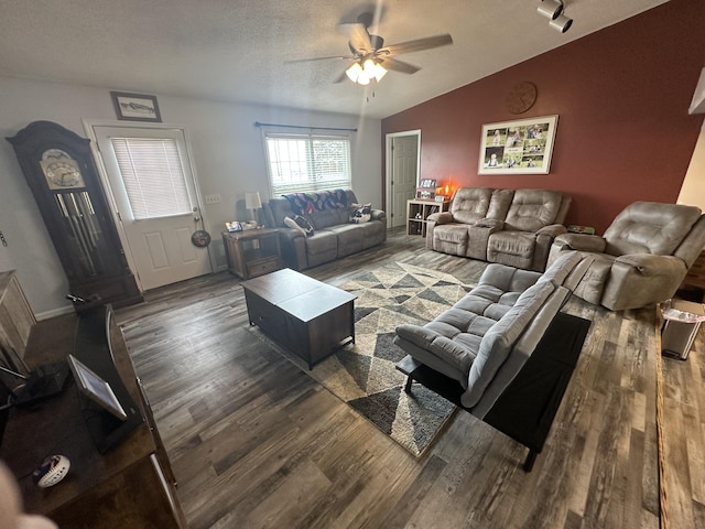 91 Barnett Rd, Brodhead, KY 40409 - living room featuring a textured ceiling, wood finished floors, a ceiling fan, and vaulted ceiling