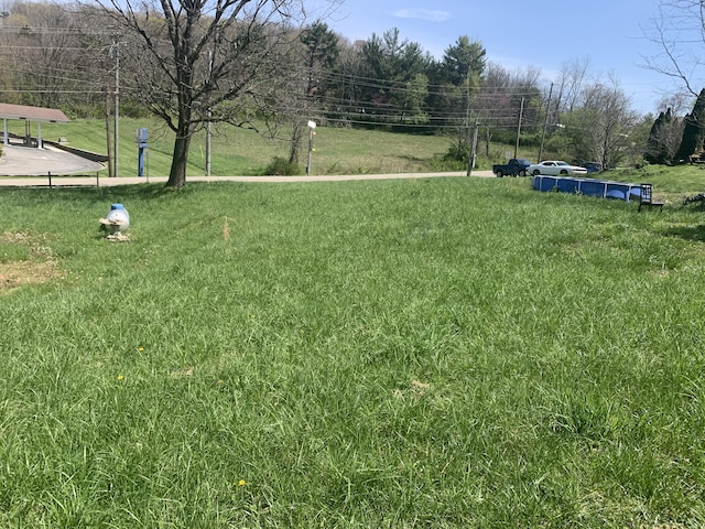 815 W Main St, Mount Vernon, KY 40456 - view of yard