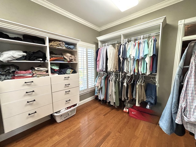 spacious closet with wood finished floors