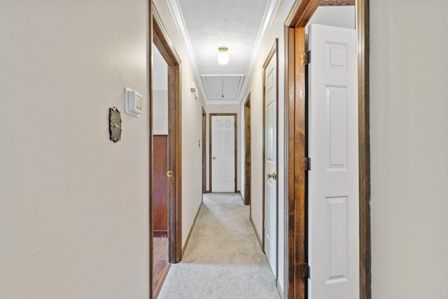 hallway with attic access, a textured ceiling, baseboards, ornamental molding, and light carpet