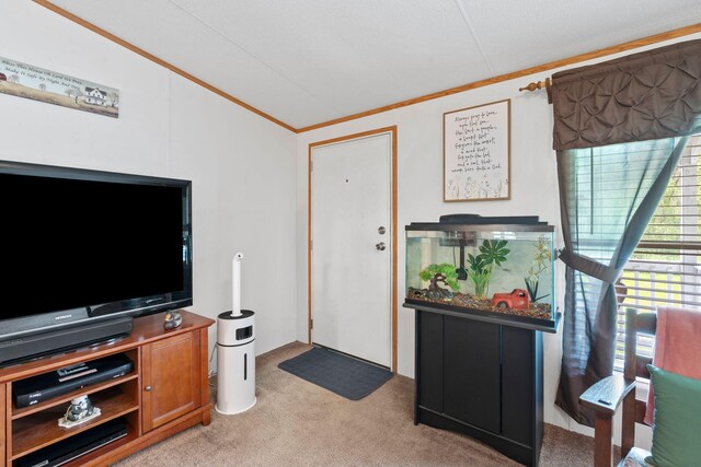 interior space with light colored carpet and crown molding