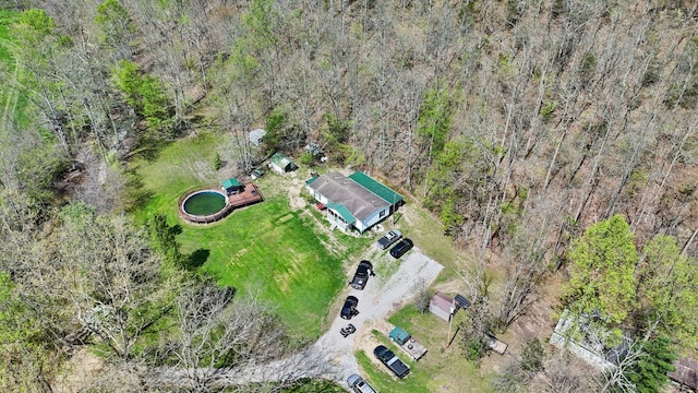 bird's eye view