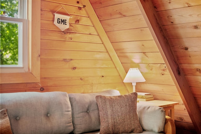 living area with wooden walls