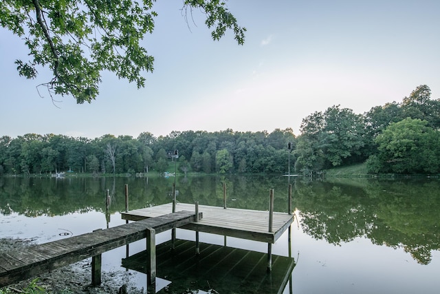 dock area featuring a water view and a view of trees