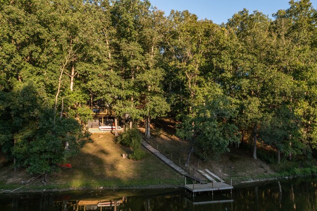 drone / aerial view with a water view and a view of trees