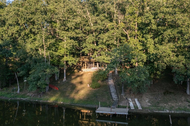 aerial view featuring a wooded view and a water view
