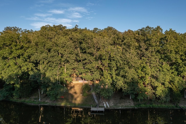 drone / aerial view featuring a forest view