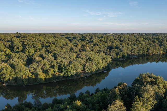 bird's eye view with a water view and a view of trees