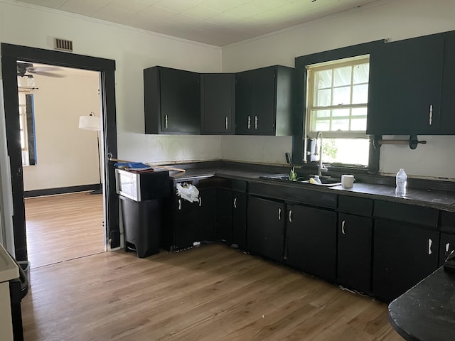 346 Slate Ave, Owingsville, KY 40360 - kitchen with ornamental molding, light wood finished floors, dark countertops, and dark cabinetry