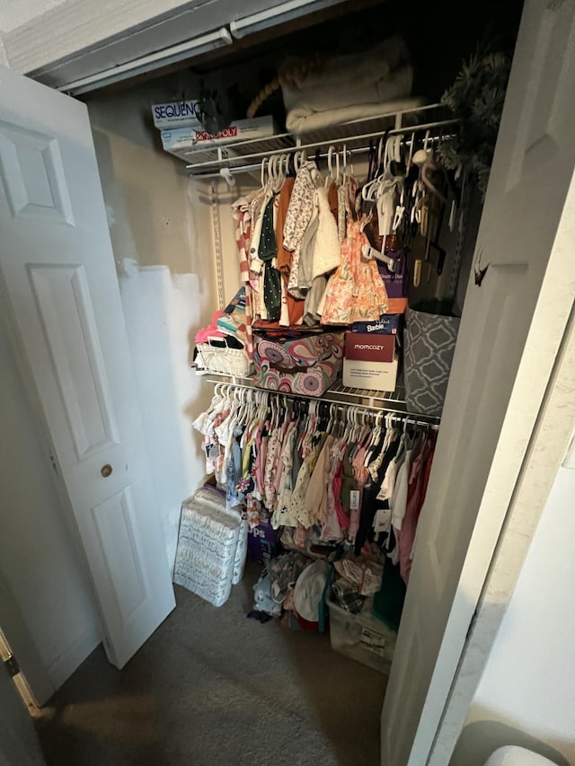 view of closet