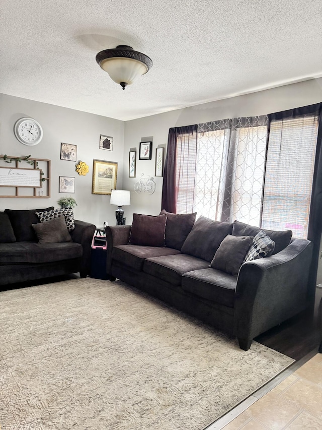 68 Red Witt Rd, Williamsburg, KY 40769 - living room featuring a textured ceiling