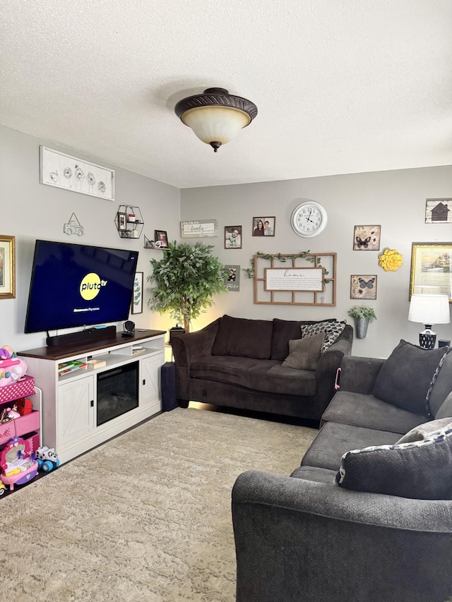 68 Red Witt Rd, Williamsburg, KY 40769 - living room featuring a textured ceiling