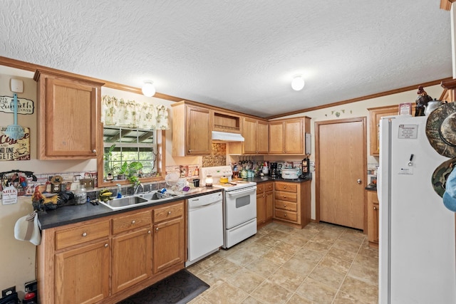 1142 Indian Creek Rd, Sadieville, KY 40370 - kitchen featuring crown molding, dark countertops, white appliances, a textured ceiling, and a sink