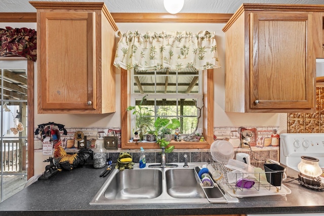 1142 Indian Creek Rd, Sadieville, KY 40370 - kitchen with crown molding, a sink, and dark countertops