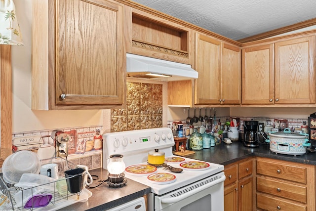 1142 Indian Creek Rd, Sadieville, KY 40370 - kitchen with under cabinet range hood, dark countertops, and white electric range
