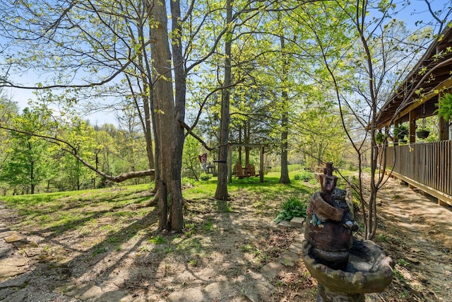 1142 Indian Creek Rd, Sadieville, KY 40370 - view of yard