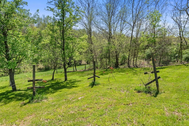 1142 Indian Creek Rd, Sadieville, KY 40370 - view of yard