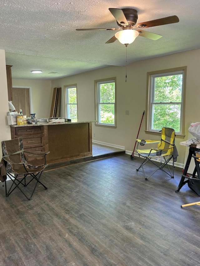 interior space featuring a textured ceiling, baseboards, and dark wood finished floors