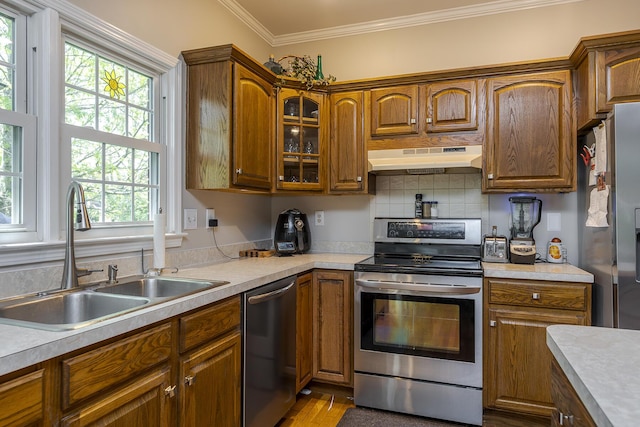 3120 Helmsdale Pl, Lexington, KY 40509 - kitchen with appliances with stainless steel finishes, a sink, under cabinet range hood, healthy amount of natural light, and ornamental molding
