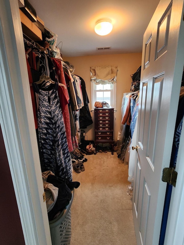 3120 Helmsdale Pl, Lexington, KY 40509 - walk in closet with carpet flooring