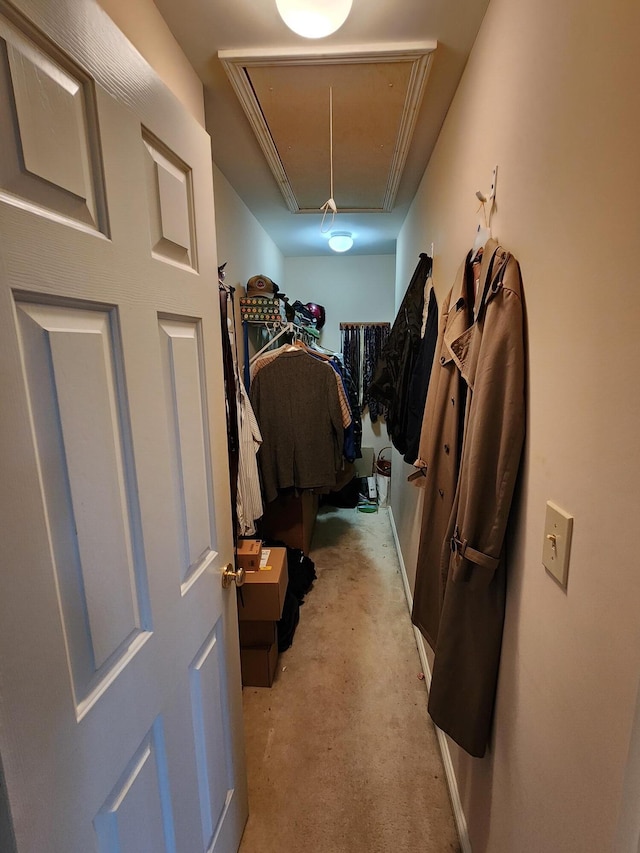 3120 Helmsdale Pl, Lexington, KY 40509 - walk in closet featuring attic access