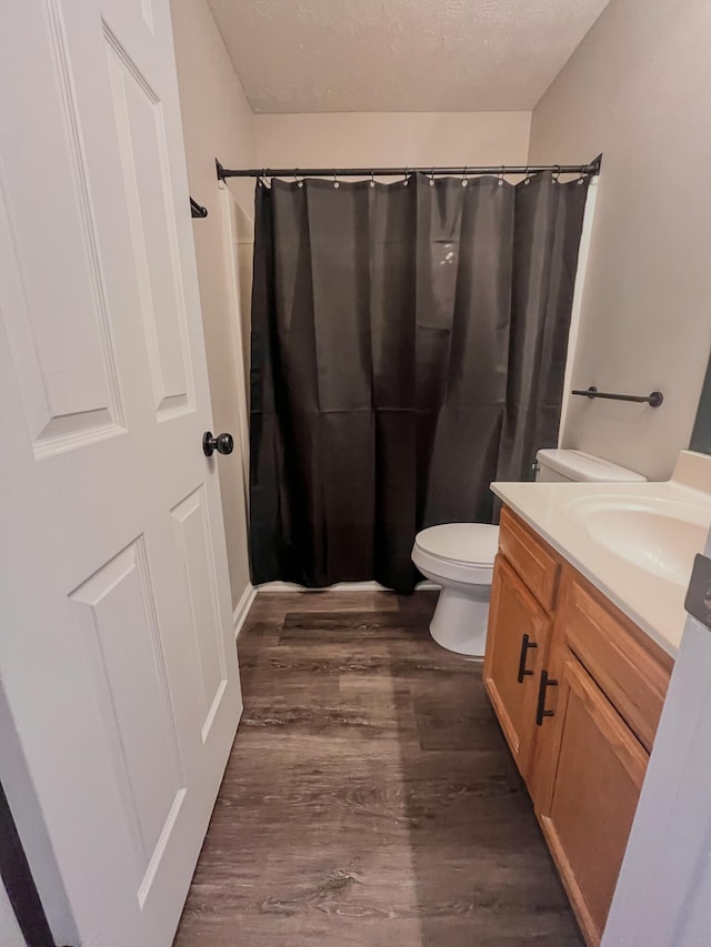 601 Heaton Ford Rd, Science Hill, KY 42553 - full bath featuring vanity, toilet, a textured ceiling, a shower with shower curtain, and wood finished floors