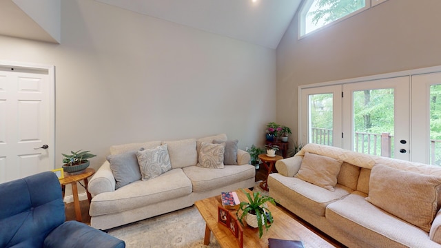 living room featuring high vaulted ceiling and wood finished floors