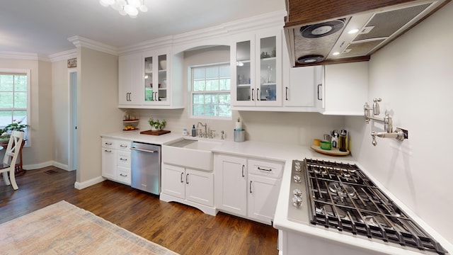 kitchen with a sink, appliances with stainless steel finishes, a wealth of natural light, dark wood-type flooring, and extractor fan