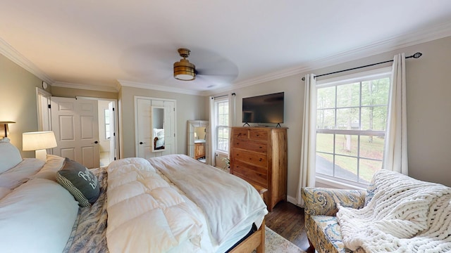 bedroom featuring crown molding, multiple windows, and dark wood-type flooring