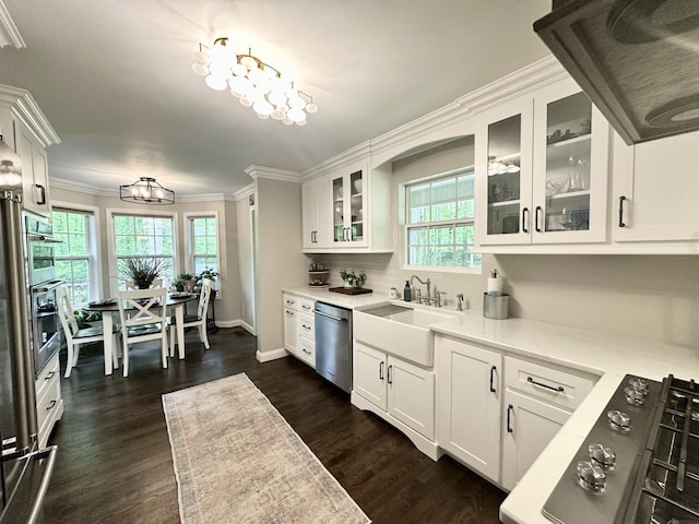kitchen with a healthy amount of sunlight, stainless steel appliances, ventilation hood, and white cabinets
