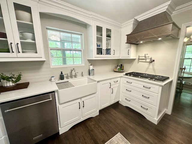 kitchen with a sink, stainless steel appliances, custom exhaust hood, white cabinetry, and dark wood finished floors