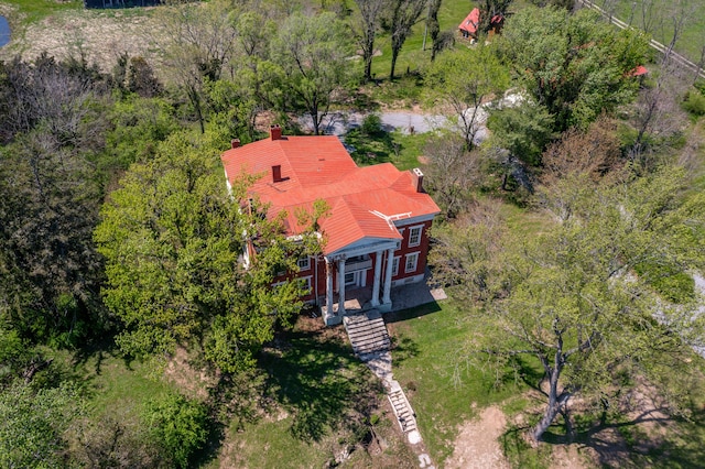 drone / aerial view