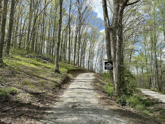 411 Alum Cave Rd, Annville, KY 40402 - view of road