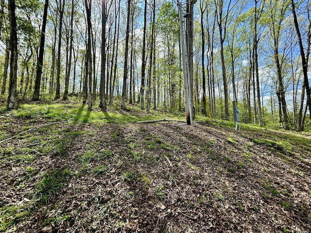 411 Alum Cave Rd, Annville, KY 40402 - view of local wilderness