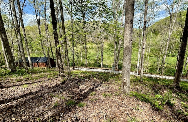 411 Alum Cave Rd, Annville, KY 40402 - view of yard with an outbuilding