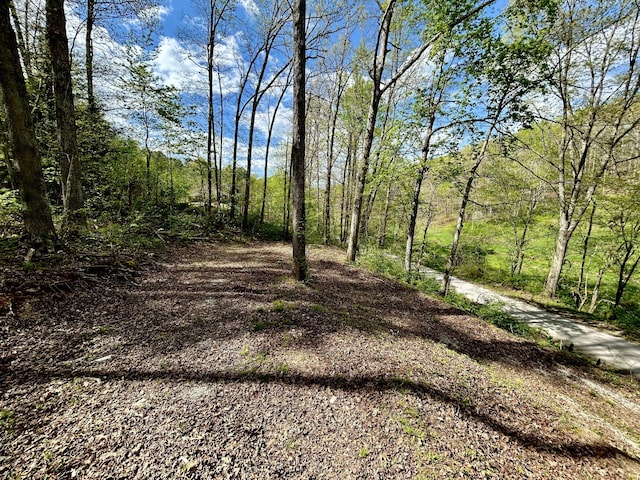 411 Alum Cave Rd, Annville, KY 40402 - view of local wilderness with a forest view