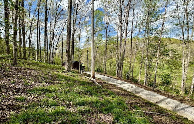 411 Alum Cave Rd, Annville, KY 40402 - exterior space with driveway and a view of trees