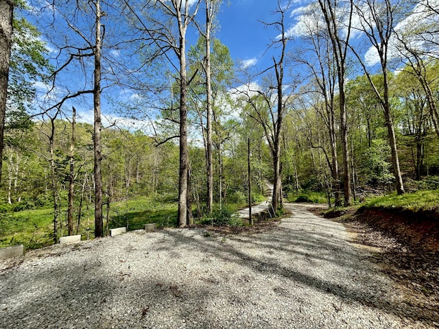 411 Alum Cave Rd, Annville, KY 40402 - view of road with a view of trees