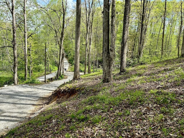 411 Alum Cave Rd, Annville, KY 40402 - exterior space