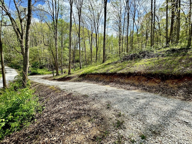 411 Alum Cave Rd, Annville, KY 40402 - view of street