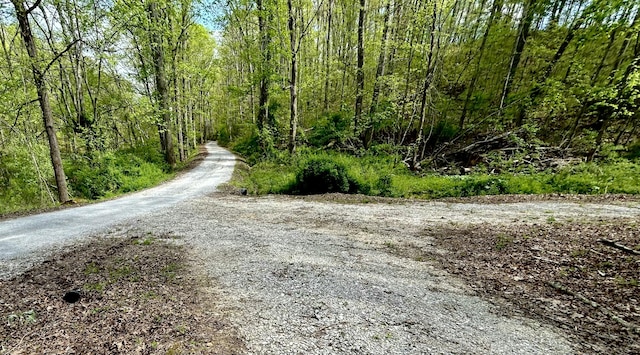 411 Alum Cave Rd, Annville, KY 40402 - view of street with a wooded view