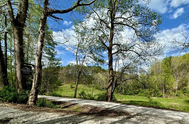 411 Alum Cave Rd, Annville, KY 40402 - view of road featuring a forest view