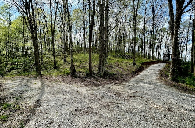411 Alum Cave Rd, Annville, KY 40402 - view of road