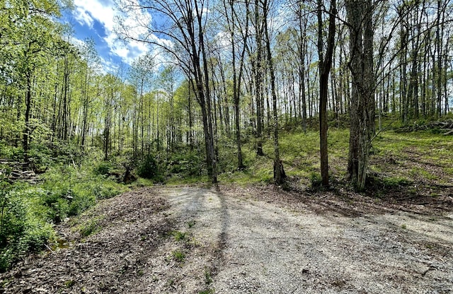 411 Alum Cave Rd, Annville, KY 40402 - view of street featuring a wooded view
